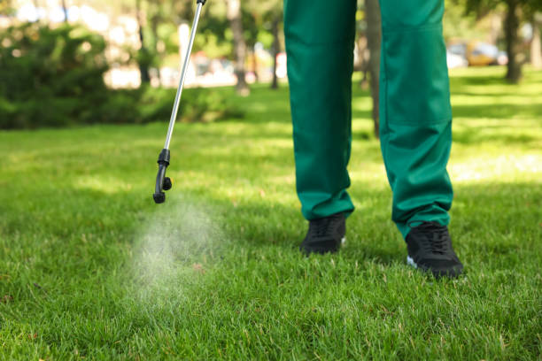 Best Flea Control Services  in Walnutport, PA