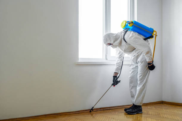 Best Exterminator Services  in Walnutport, PA