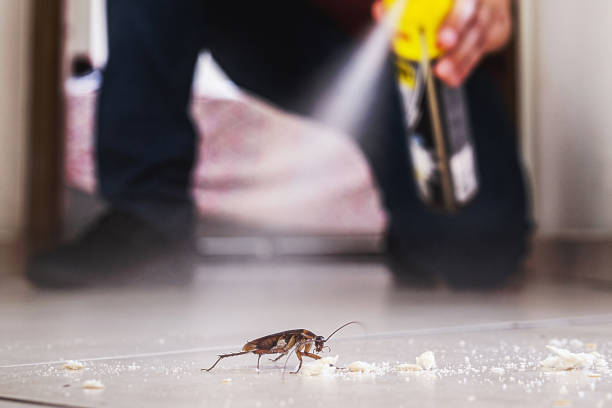 Pest Prevention Services in Walnutport, PA